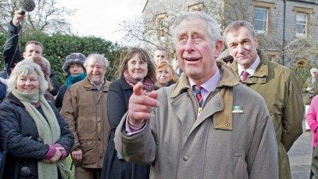 Prince of Wales in Muchelney