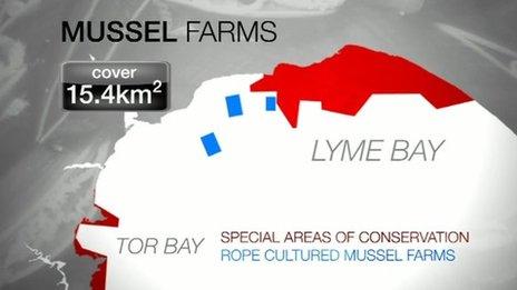 Graphic of Mussel farm and conservation areas