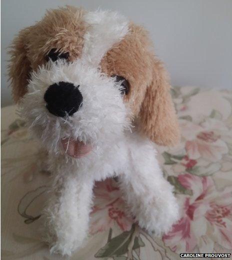 dog