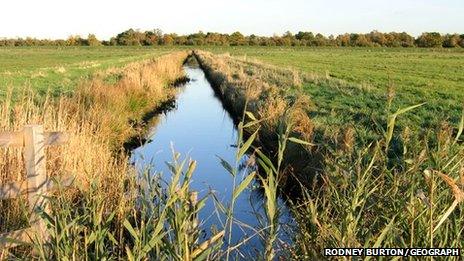 Drain in Woodwalton Fen