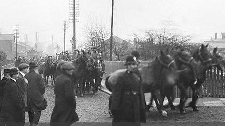 War horses at Ormskirk