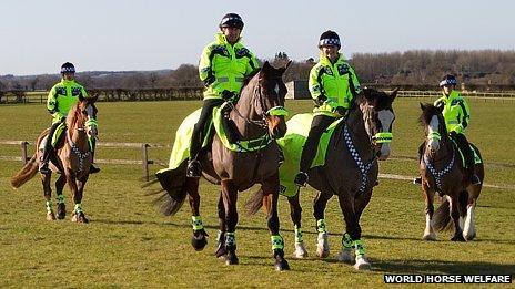 Special officers on horseback at Snetterton, Norfolk