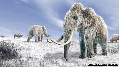 Computer artwork of woolly mammoths