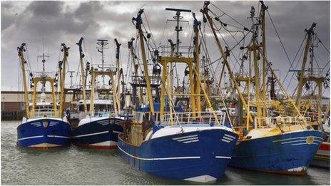 Fishing boats in harbour