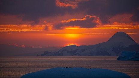 sunset