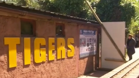 Tiger House at South Lakes Wild Animal Park