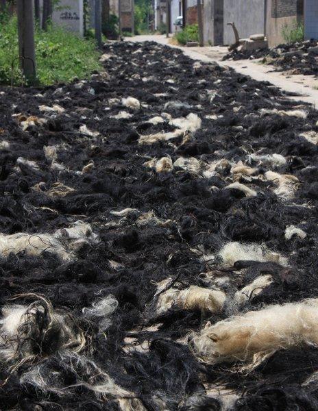 Shaved hair laid out in a street