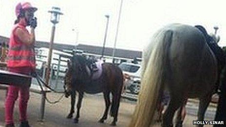 Horses outside McDonald's