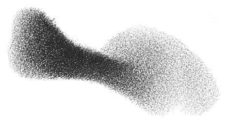 murmuration