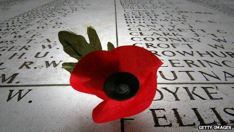 A poppy on a grave