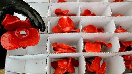 Volunteers package ceramic poppies from the moat of the Tower of London