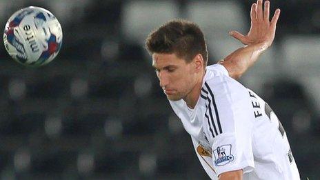 Defender Federico Fernandez has played 10 games for Swansea City this season