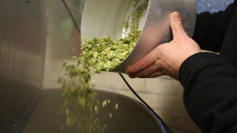 Hops being added to a beer being brewed