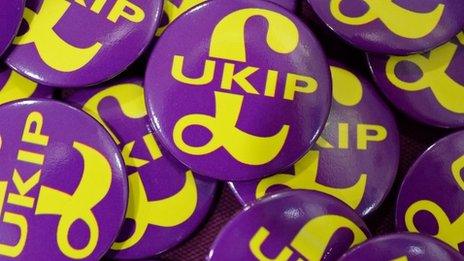 UKIP badges