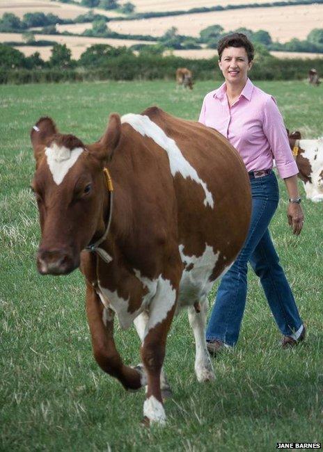 Jane Barnes with a cow