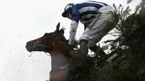 Teaforthree falls at Aintree in 2014