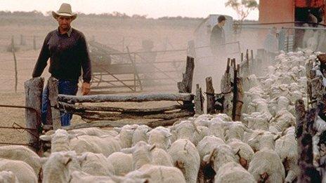 Farmer in Queensland