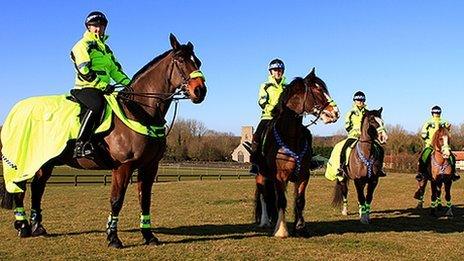 Norfolk's special officers on horseback