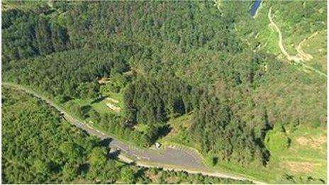 Coedwig Cwmcarn