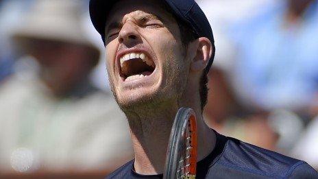 Andy Murray