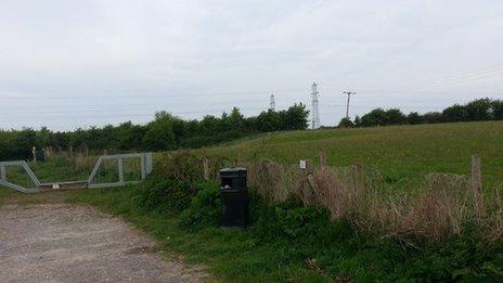 Portbury Wharf Nature Reserve