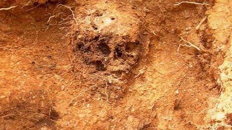 Catherine's skull