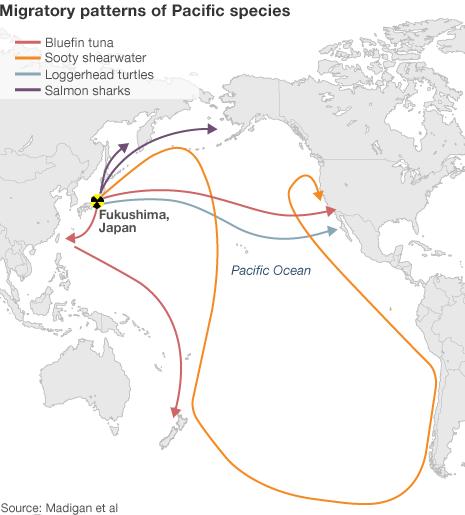 Migration map