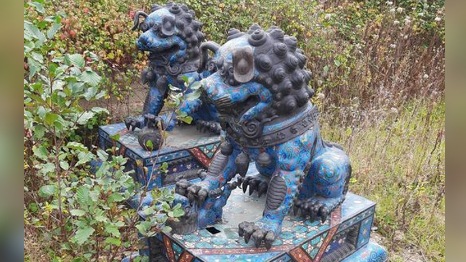 The two statues, pictures at the site. They are quite large, and are both of highly stylised lions covered with ornate carved and painted patterns. They are both sat on matching platforms, and have been found on an area of cracked concrete amongst high-grown weeds. 