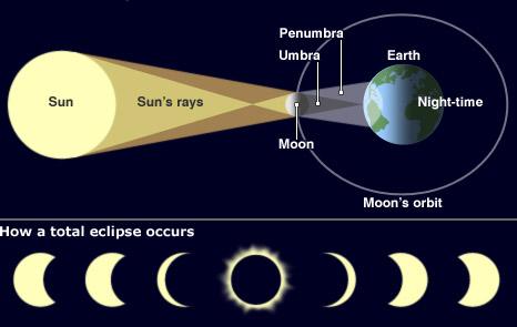 Infographic (BBC)