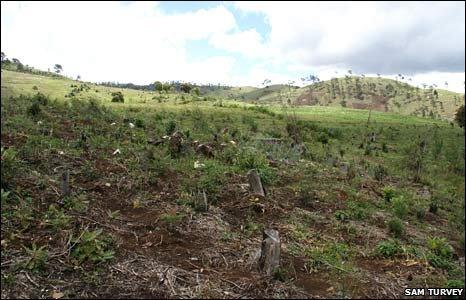 View of Haiti (Sam Turvey)