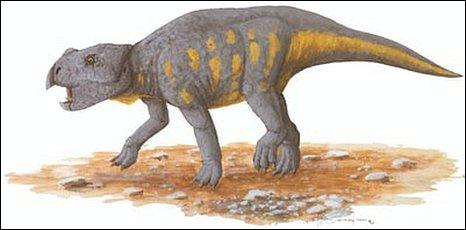 An artist representation of a ceratopsian