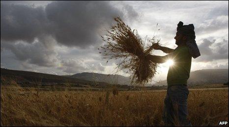 Farmer (AFP)