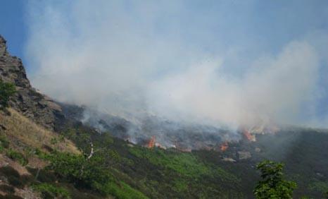 Grass fire at Edmoundstown Road, Tonypandy