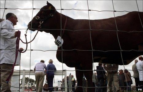 the Royal Highland Show