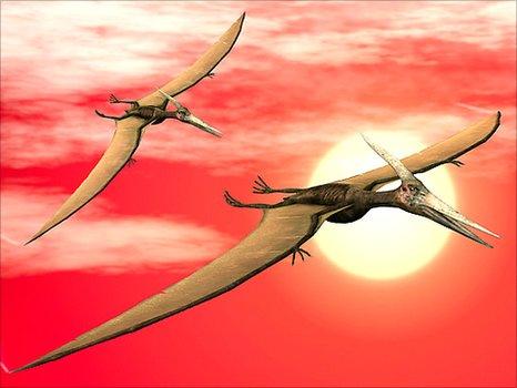 Pterosaurs (SPL)