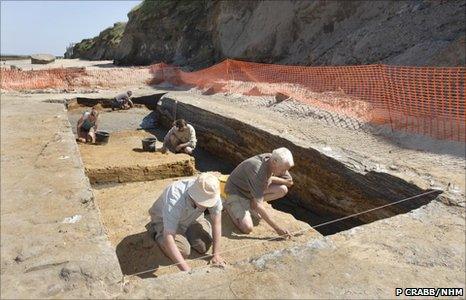 Excavation site (Image: Phil Crabb/ Natural History Museum)