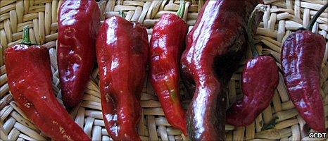 San Juan "Tsile" chillies (Image: GCDT)