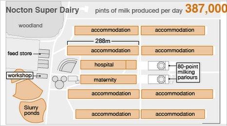 Nocton Dairy plans