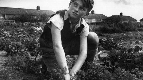 Boy on allotment