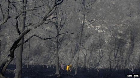 Rescue workers walk among trees burnt trees in northern Israel