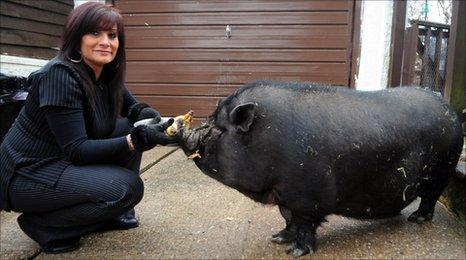 Tracey Lisk with her pig called Nessa