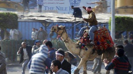 Mubarak supporter on camel