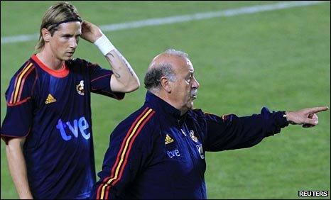 Fernando Torres and Vicente del Bosque