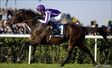 Joseph O'Brien on Camelot