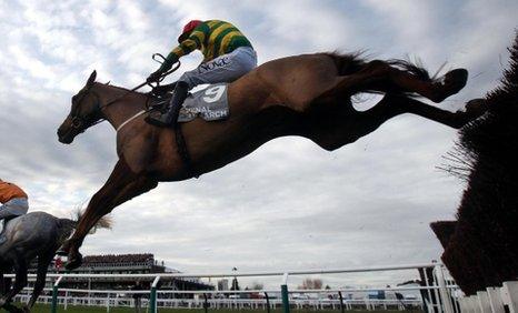 Quantatitiveeasing jumps the last at Cheltenham