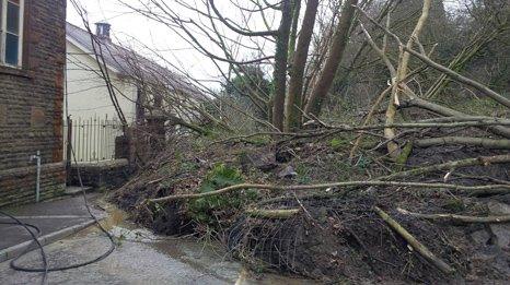 Trees fallen against the vestry of Panteg Chapel in Ystalyfera after the landslip