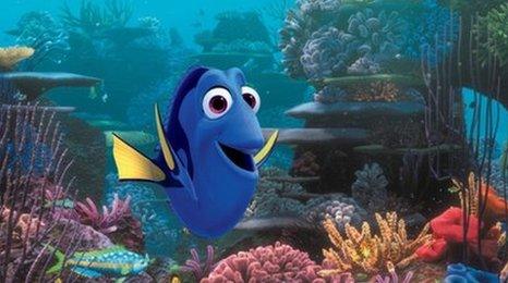 Finding Dory