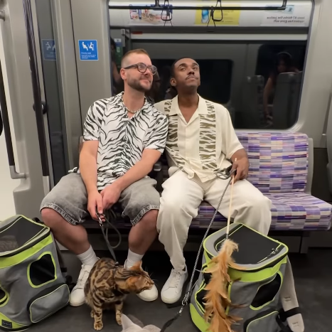 A screenshot of the video, showing a male couple sat on an Elizabeth line train with two cats on leads, sat on the floor. They have two cat carriers on the floor next to them, and the man on the right is holding a fluffy cat toy.