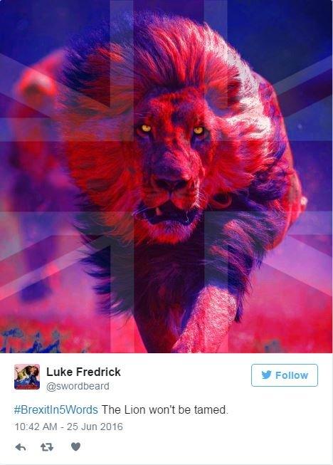 A Twitter post with a picture of a lion with a union jack superimposed on top with the caption The Lion Will Not Be Tamed.