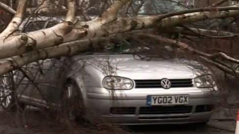 A silver Volkswagen car lies under a large fallen tree, obscuring its windscreen and draping branches round the entire vehicle